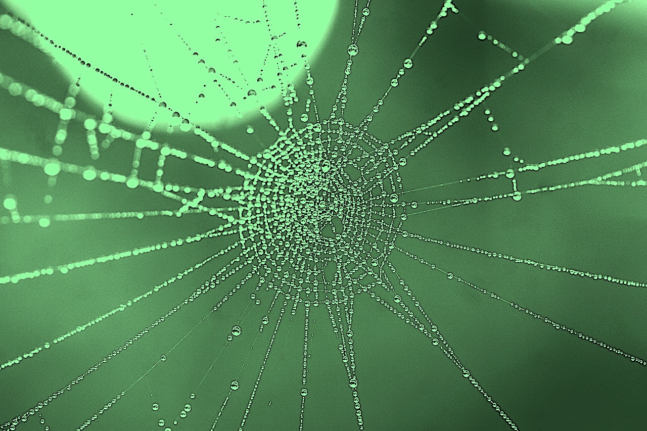 green_web